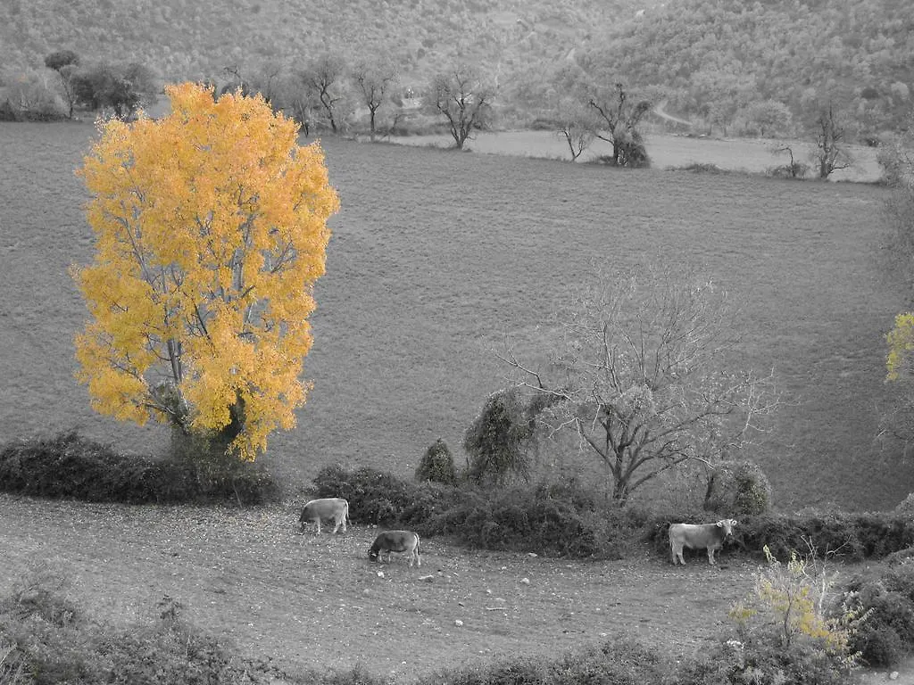 Country house La Llar-Lo Paller Del Coc Surp
