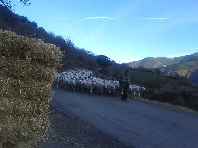 La Llar-Lo Paller Del Coc Surp